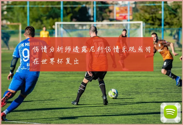 伤情分析师透露尼科伤情乐观或将在世界杯复出